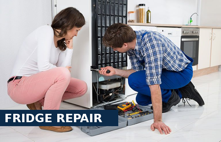 Fridge Repair Maida Vale